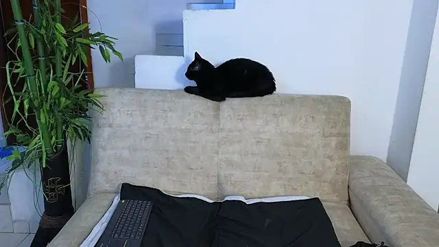 Lorenne Miller online show from 04/22/26, 03:53