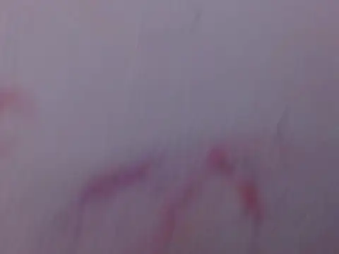 Mily pao1 online show from 02/18/26, 11:11