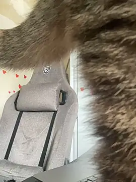 Snapshot of GraceTorrez chatting on 03/21/25, 06:05 GraceTorrez online show from 03/21/25, 06:05