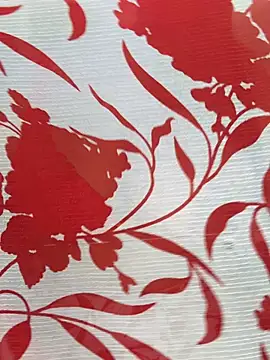 Snapshot of Sexy_Evelynn chatting on 02/22/26, 04:24 Sexy Evelynn online show from 02/22/26, 04:24