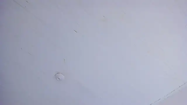 TiffanyWright online show from 04/14/26, 01:17