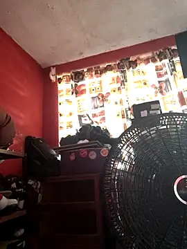 Snapshot of VL25DN26 chatting on 11/07/25, 04:51 VL25DN26 online show from 11/07/25, 04:51