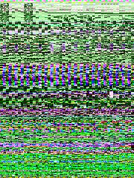 -SHINON- online show from 11/09/25, 11:52