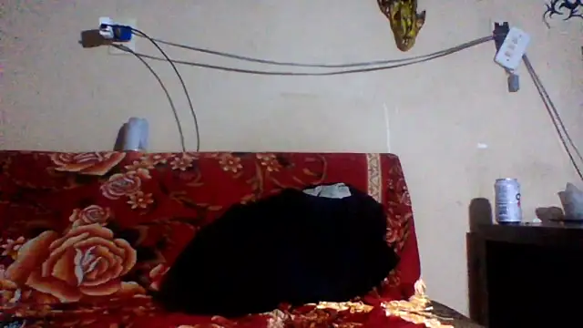 Snapshot of sellvageria chatting on 02/26/26, 03:49 sellvageria online show from 02/26/26, 03:49