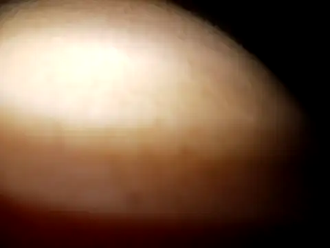 Cheny26 online show from 04/08/26, 03:39