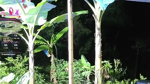 Snapshot of andreu_mature chatting on 06/11/26, 02:53 andreu mature online show from 06/11/26, 02:53