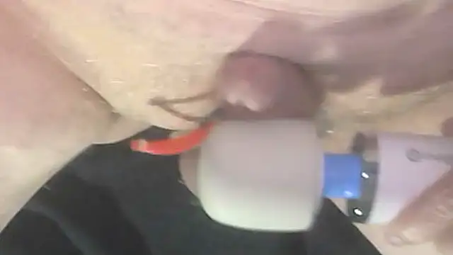 Snapshot of trittico chatting on 10/09/25, 01:47 trittico online show from 10/09/25, 01:47