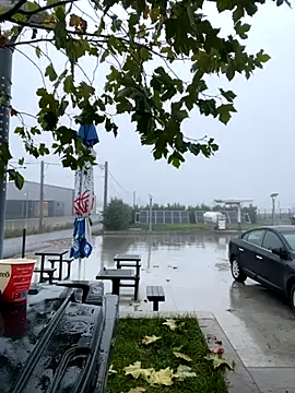 Snapshot of baramadalin chatting on 11/21/25, 05:28 baramadalin online show from 11/21/25, 05:28