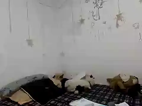 Snapshot of Nissha_johosonn chatting on 12/13/24, 01:04 Nissha johosonn online show from 12/13/24, 01:04