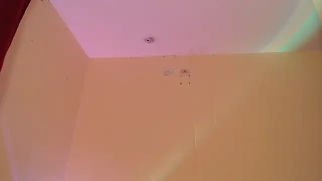 Snapshot of _maiahairy_ chatting on 12/31/24, 01:47 maiahairy online show from 12/31/24, 01:47