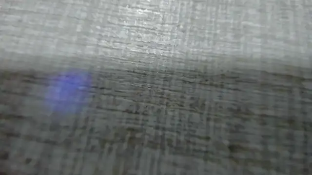 AishaRouhi online show from 03/25/26, 04:40