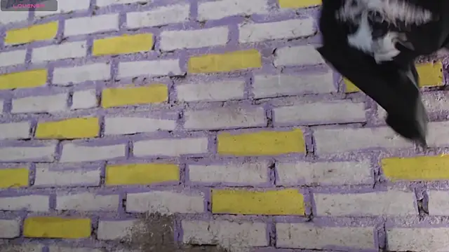 Lukas strong online show from 11/08/25, 02:06