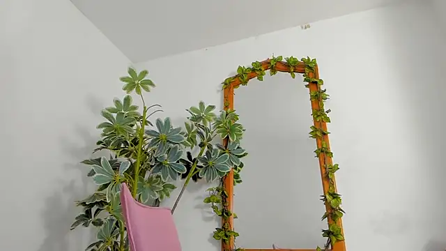 BonnieCute  online show from 02/25/26, 11:36