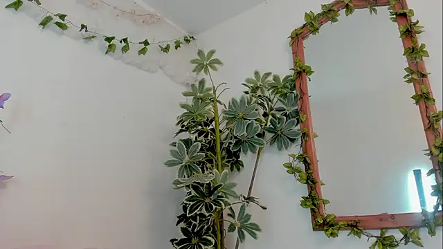 BonnieCute  online show from 03/19/26, 11:53