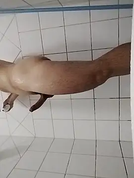 Snapshot of ToddynhoDuck chatting on 02/13/25, 03:07 ToddynhoDuck online show from 02/13/25, 03:07