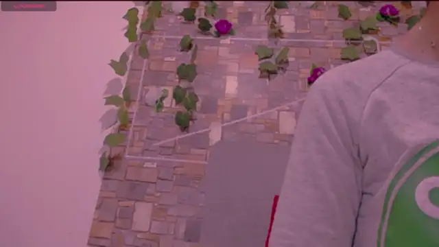 CrazyRousex online show from 01/14/26, 02:23