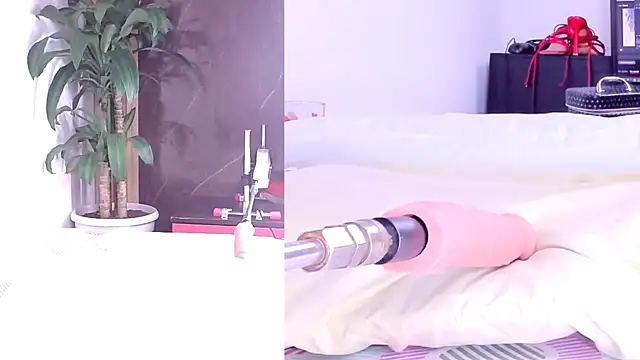 Sophia Lovers01 online show from 03/02/26, 08:37