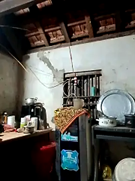 Hotpussy3ox online show from 03/02/26, 10:16