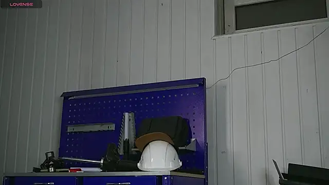 dustyn fox online show from 01/17/26, 03:17