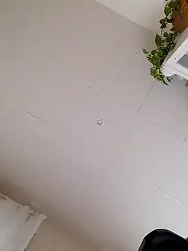 Snapshot of Greacky chatting on 12/14/24, 12:01 Greacky online show from 12/14/24, 12:01