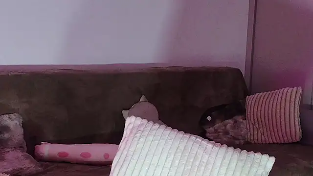 Snapshot of Eva_Millar chatting on 02/21/26, 08:26 Eva Millar online show from 02/21/26, 08:26