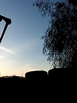 Snapshot of luke_thighwalker2469 chatting on 12/31/24, 12:11 luke thighwalker2469 online show from 12/31/24, 12:11