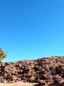 Snapshot of luke_thighwalker2469 chatting on 01/13/25, 08:48 luke thighwalker2469 online show from 01/13/25, 08:48