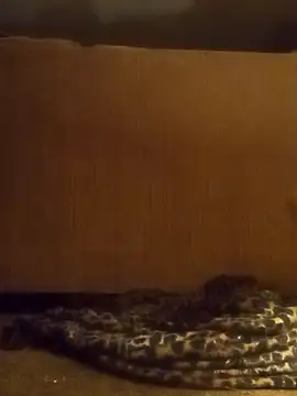 Snapshot of luke_thighwalker2469 chatting on 02/08/25, 01:11 luke thighwalker2469 online show from 02/08/25, 01:11