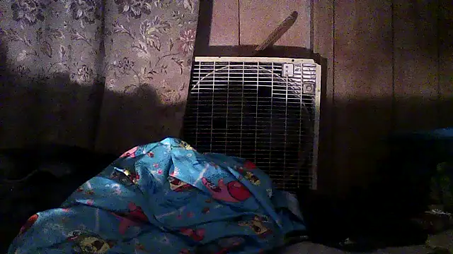 Snapshot of luke_thighwalker2469 chatting on 12/02/25, 02:50 luke thighwalker2469 online show from 12/02/25, 02:50