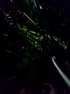 mis312 online show from 01/08/26, 05:10