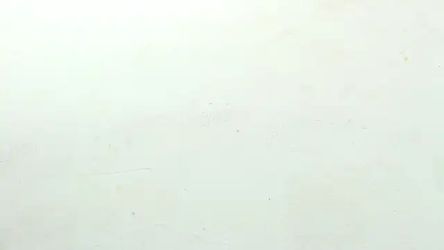 Snapshot of sinay024 chatting on 02/27/26, 08:03 sinay024 online show from 02/27/26, 08:03