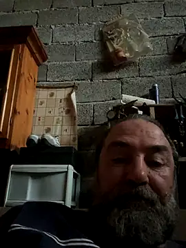 Snapshot of ros217 chatting on 10/24/25, 03:41 ros217 online show from 10/24/25, 03:41