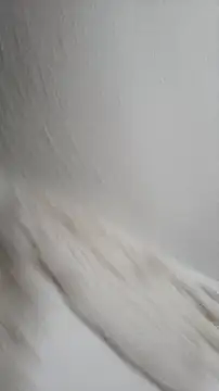 Snapshot of Siriss_boyrag chatting on 11/22/25, 08:52 Siriss boyrag online show from 11/22/25, 08:52