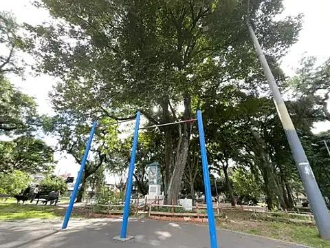 Siriss boyrag online show from 02/20/26, 08:53