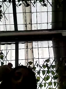 Snapshot of ailyn_miranda chatting on 03/15/25, 06:21 ailyn miranda online show from 03/15/25, 06:21