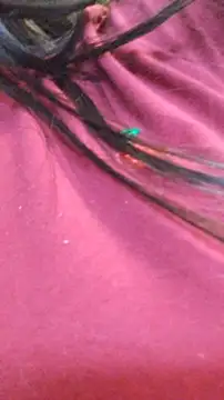 Snapshot of ailyn_miranda chatting on 11/29/25, 07:50 ailyn miranda online show from 11/29/25, 07:50