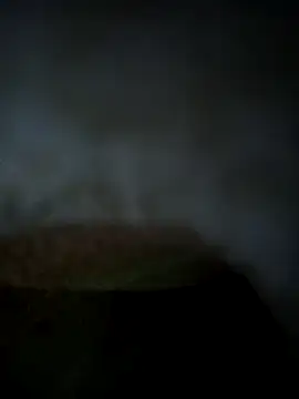 Shivi shahh online show from 01/20/25, 07:46