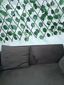 Bold-Cat online show from 11/20/25, 04:51