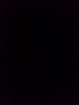 WrongedParvo online show from 10/19/25, 11:49