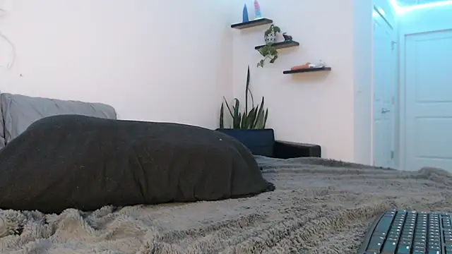 Snapshot of fallongrayxo chatting on 03/08/25, 11:28 fallongrayxo online show from 03/08/25, 11:28