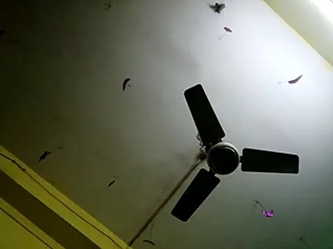 Snapshot of Sexyranibhabhi chatting on 12/14/25, 02:17 Sexyranibhabhi online show from 12/14/25, 02:17