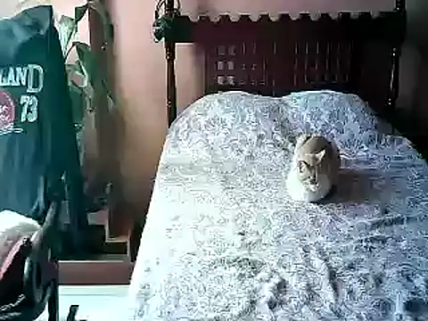 2mgars online show from 01/17/26, 04:11