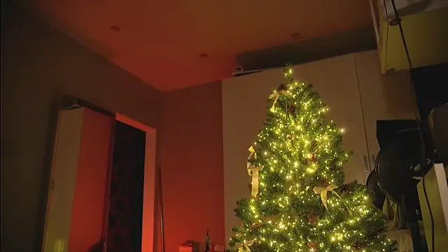 Arianna Richi online show from 12/30/24, 08:54