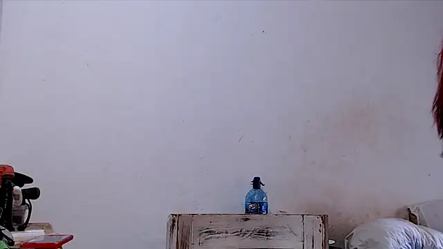 SusiDream online show from 03/14/26, 08:58