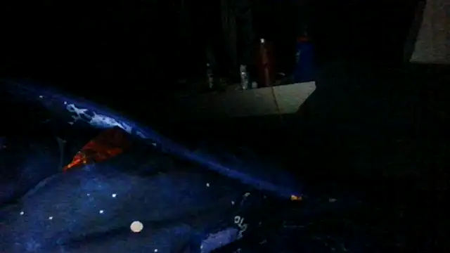 toast843 online show from 02/09/25, 06:22