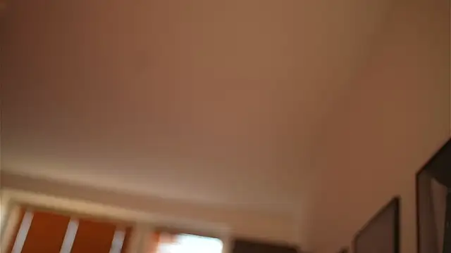 Bellis Perenis online show from 12/28/24, 08:37