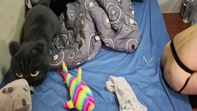 Snapshot of Big19Asia chatting on 09/24/25, 03:37 Big19Asia online show from 09/24/25, 03:37