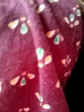 Beautyy38 online show from 03/05/25, 07:49