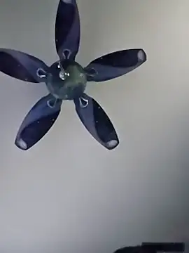 honeymex online show from 09/18/25, 10:56