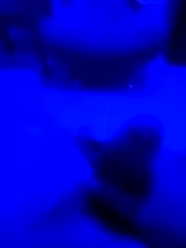 Snapshot of NICXUSS chatting on 12/04/25, 07:50 NICXUSS online show from 12/04/25, 07:50